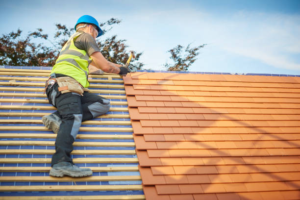 Best Roof Maintenance and Cleaning  in Gloucester Point, VA